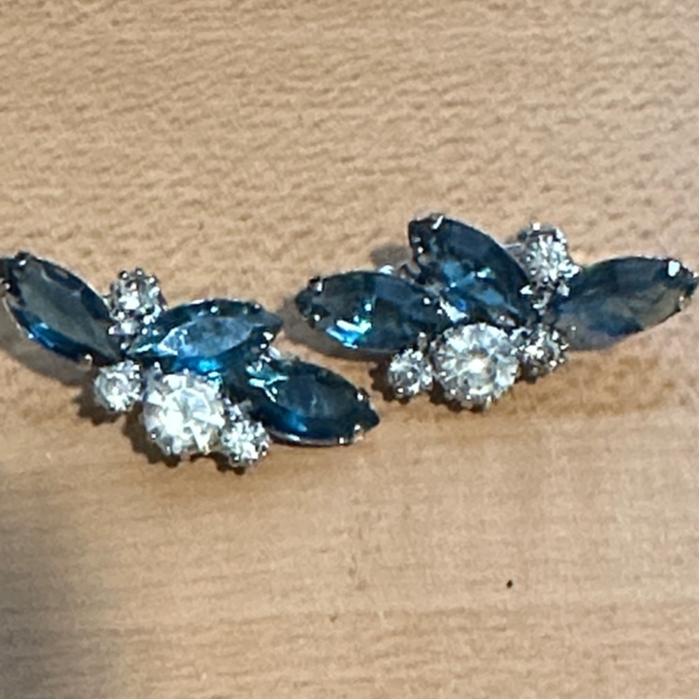 Chic White and Blue Crystal Earrings